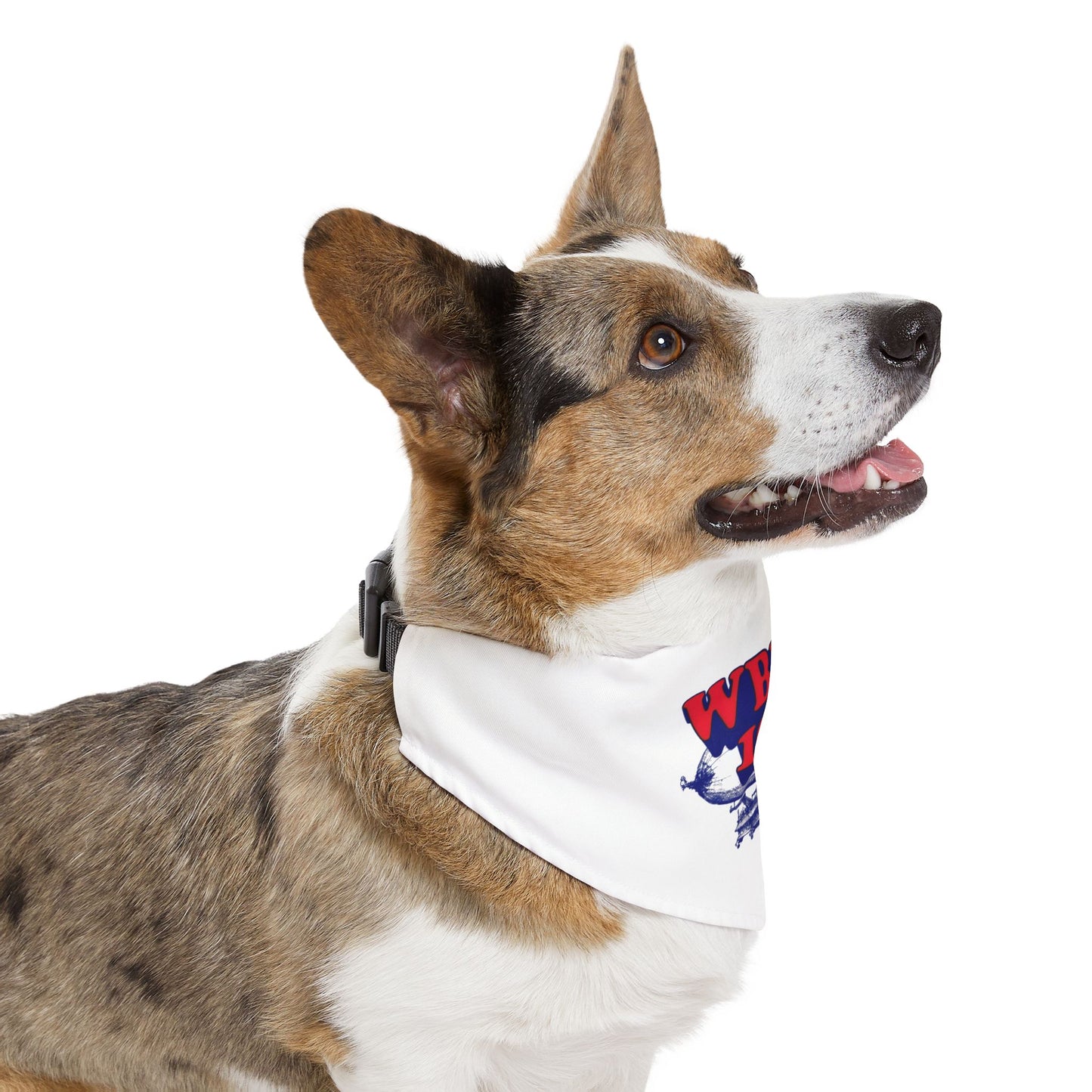 WBLM 102.9 Pet Bandana Collar