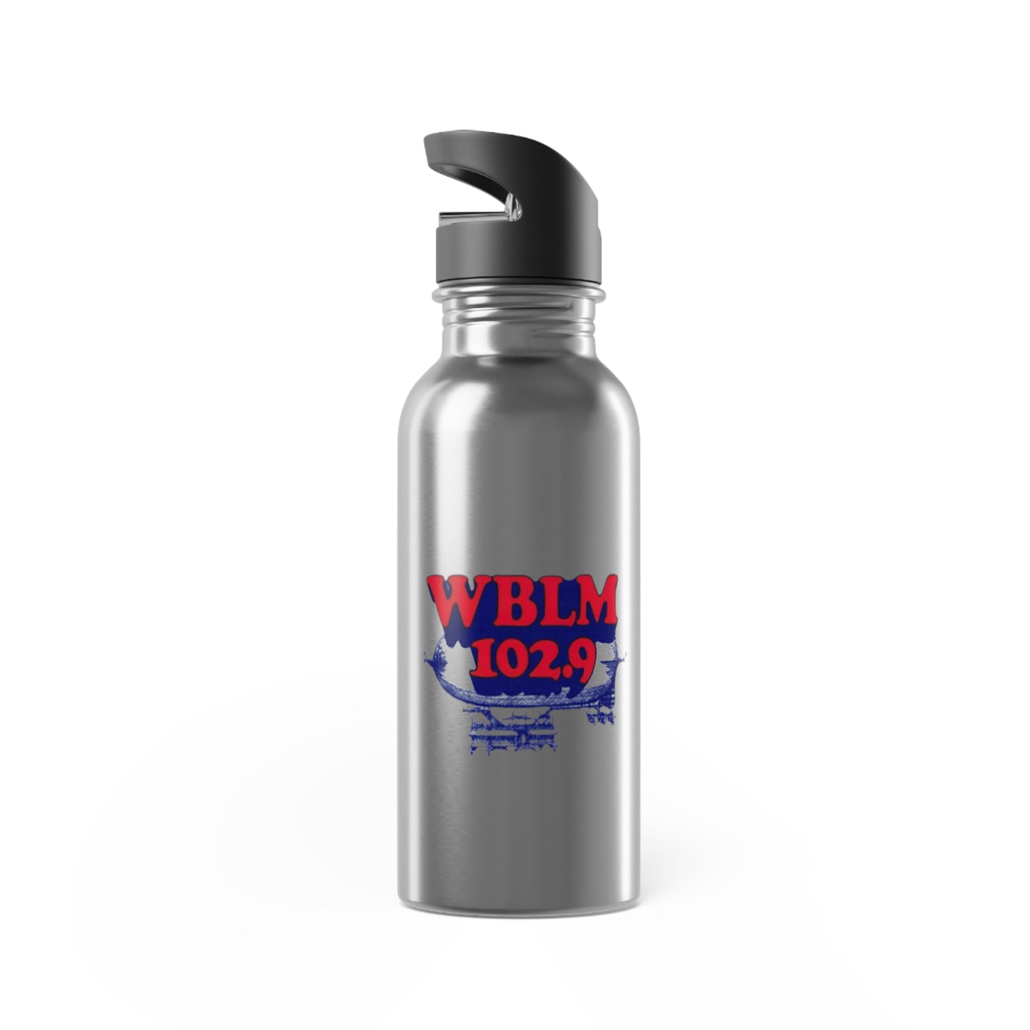 Stainless Steel Water Bottle With Straw, 20oz