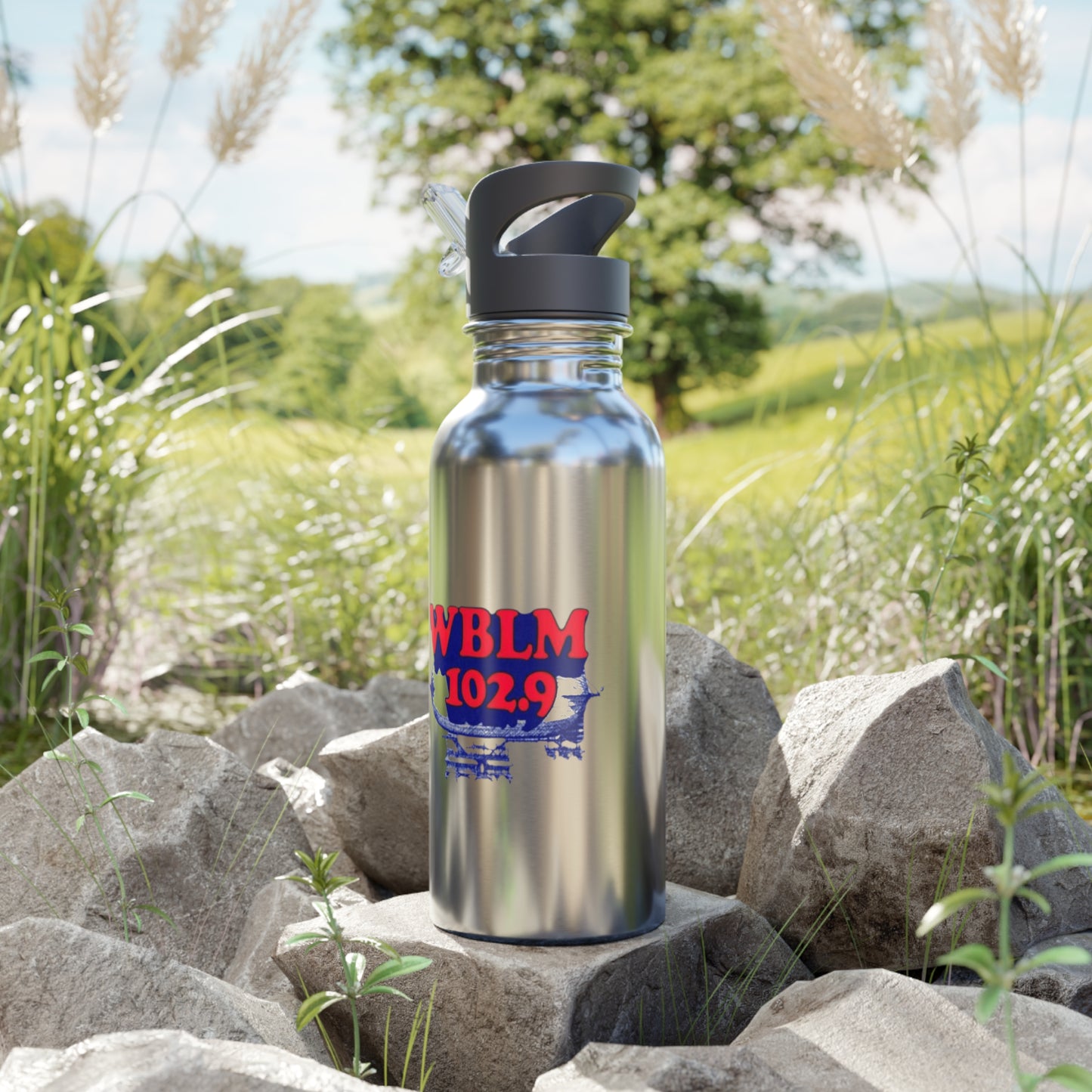 Stainless Steel Water Bottle With Straw, 20oz