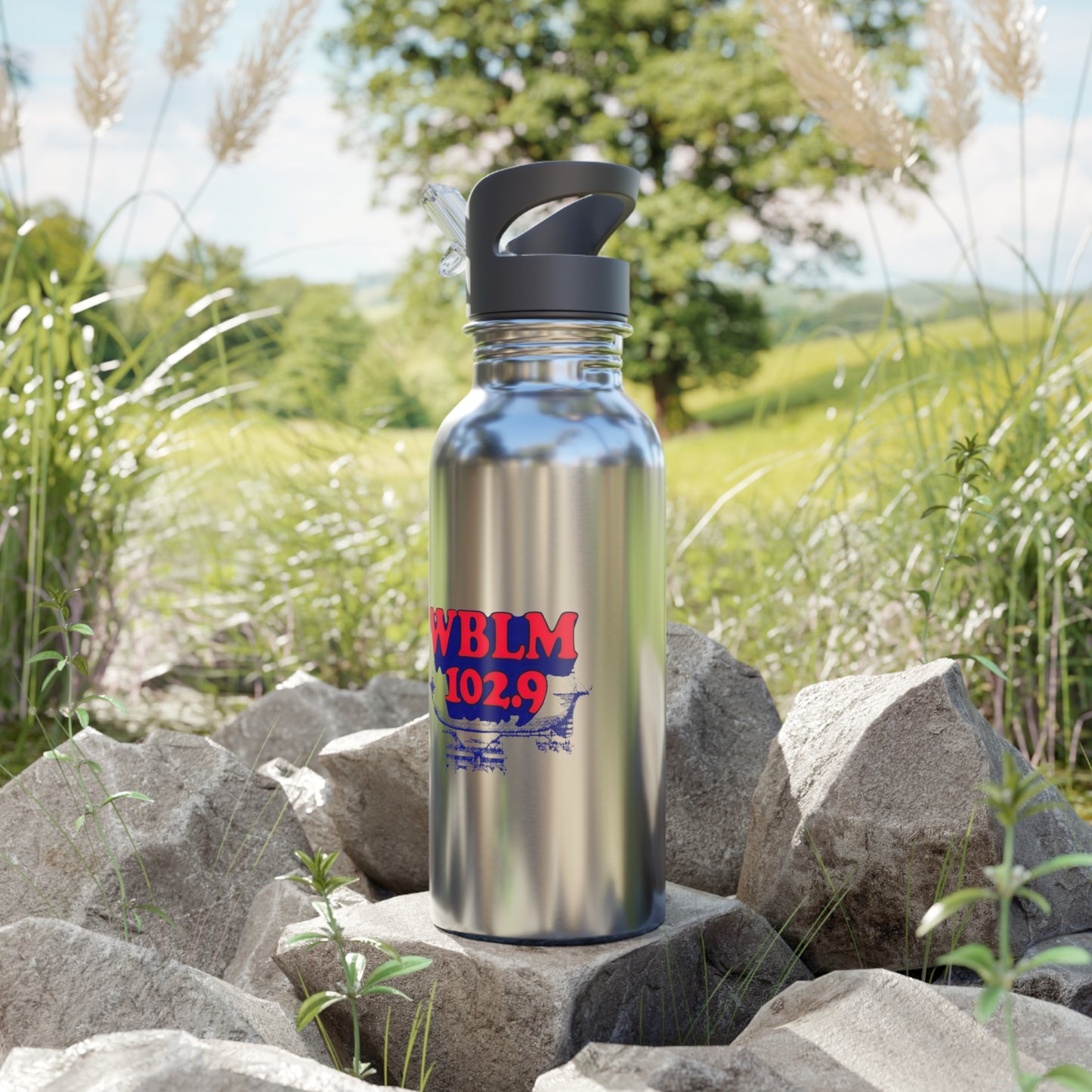 WBLM Stainless Steel Water Bottle With Straw, 20oz