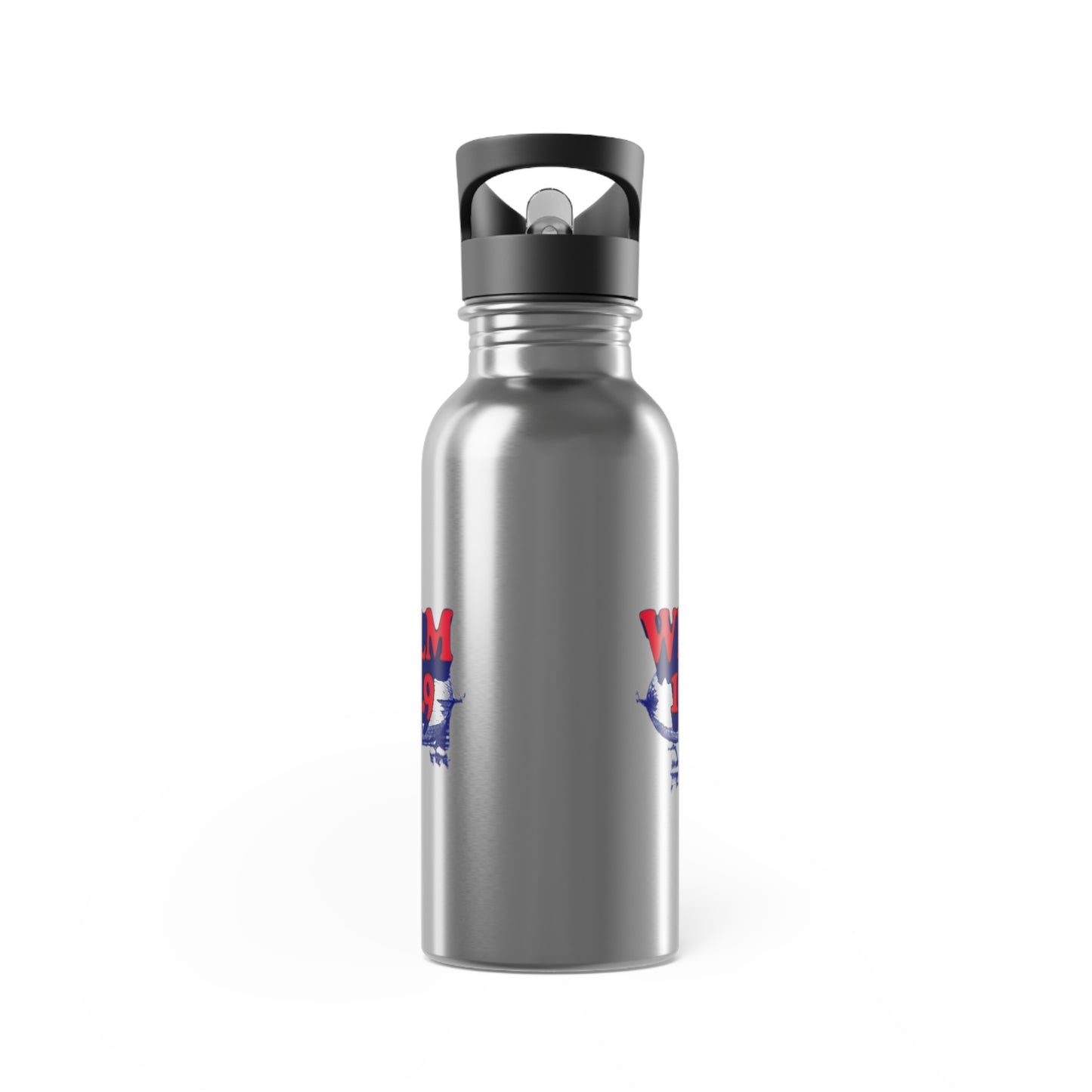 Stainless Steel Water Bottle With Straw, 20oz