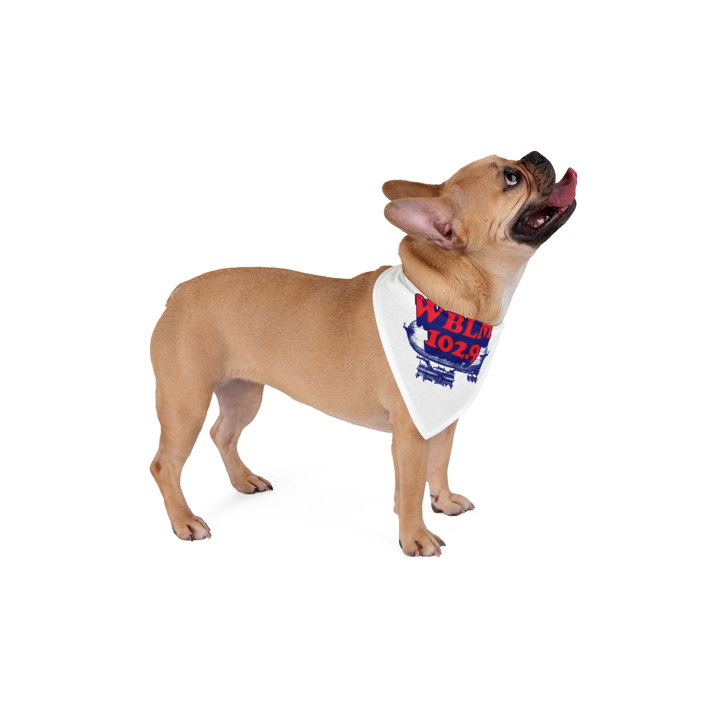 WBLM 102.9 Pet Bandana – Retro Radio Logo Dog Bandana