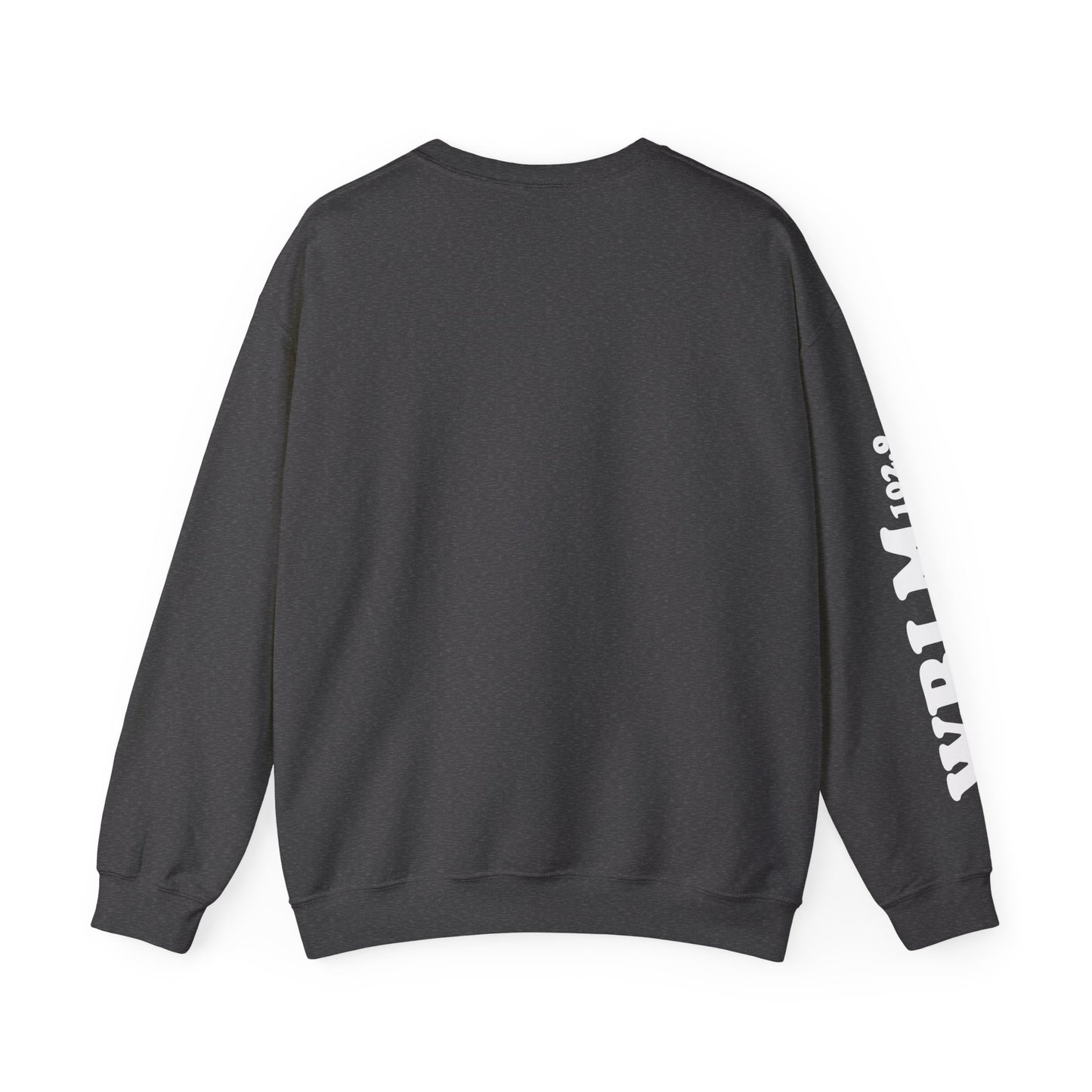 WBLM 102.9 Retro Radio Crewneck Sweatshirt With Radio Dial Sleeve