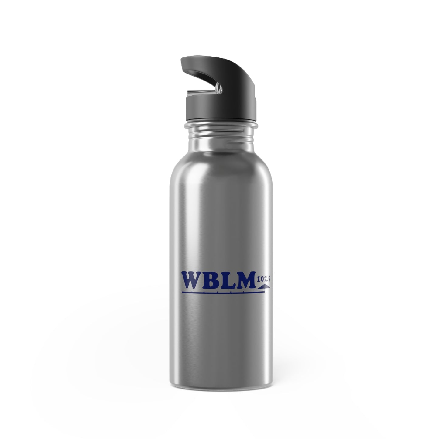 WBLM Stainless Steel Water Bottle With Straw, 20oz