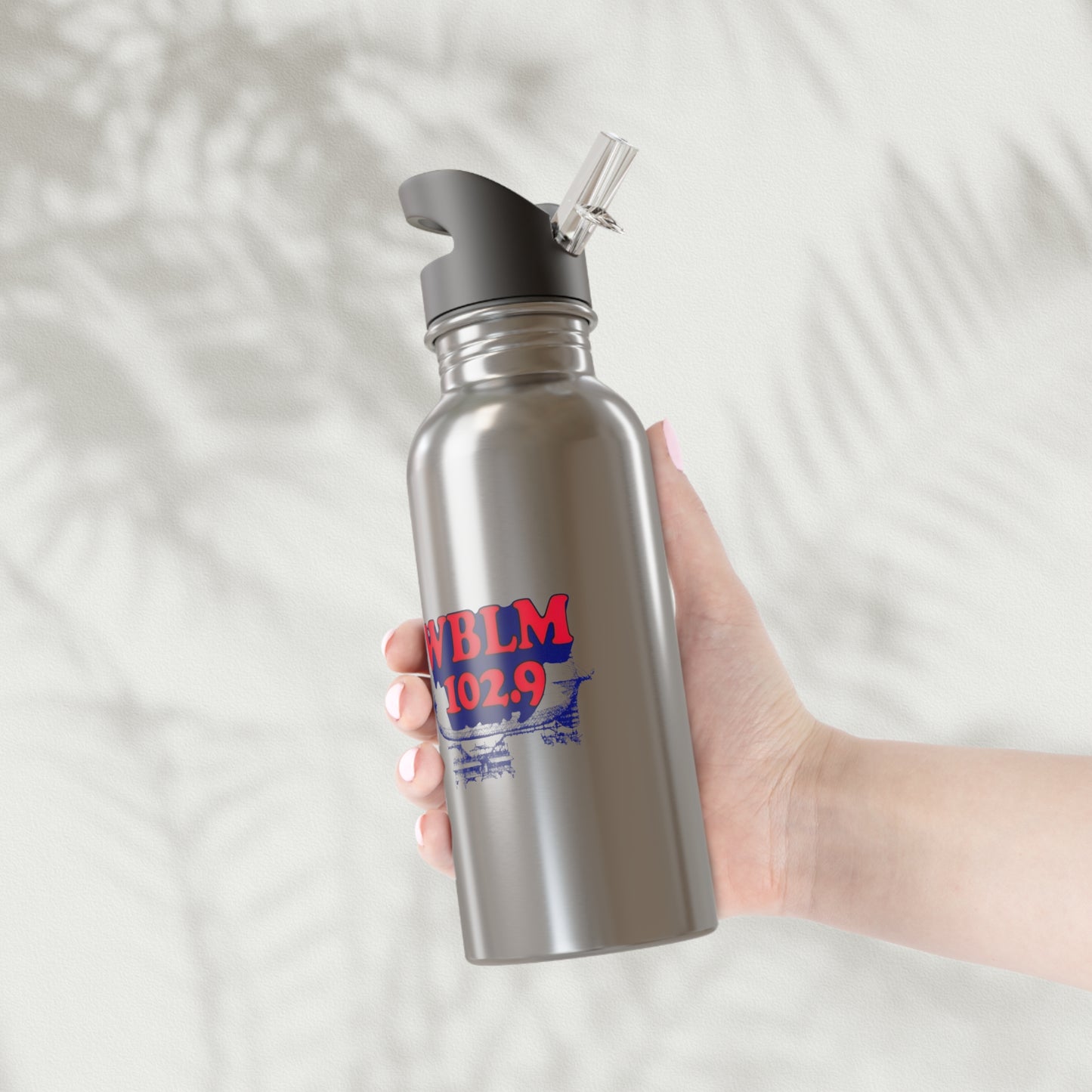 WBLM Stainless Steel Water Bottle With Straw, 20oz