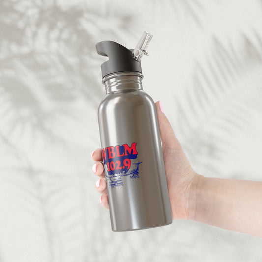 WBLM Stainless Steel Water Bottle With Straw, 20oz