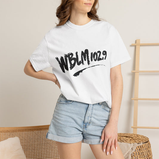 WBLM 102.9 Retro Scrawl Logo Soft Colors T-Shirt