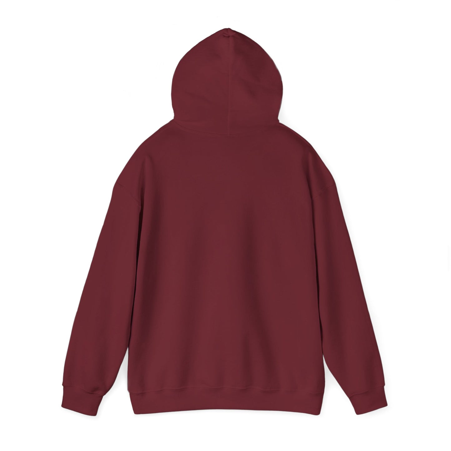 WBLM 102.9 Scrawl Logo Hoodie – Retro Radio Station Sweatshirt