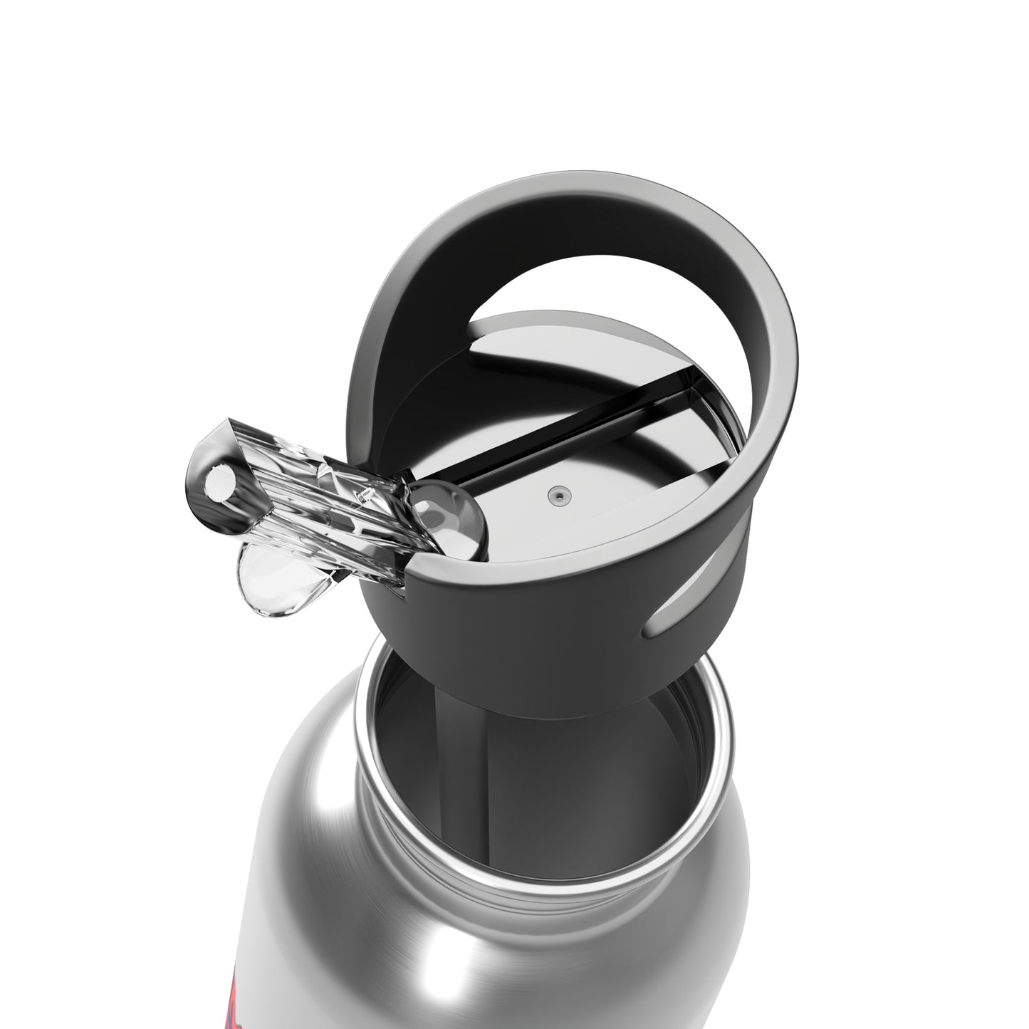 WBLM Stainless Steel Water Bottle With Straw, 20oz