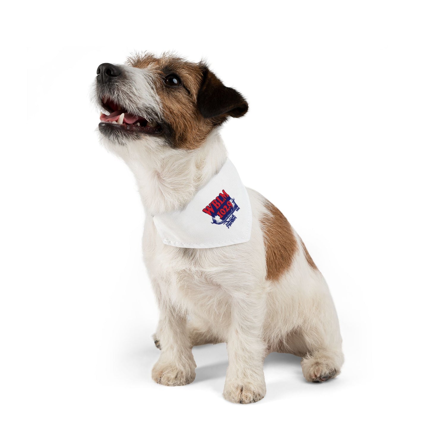 WBLM 102.9 Pet Bandana Collar