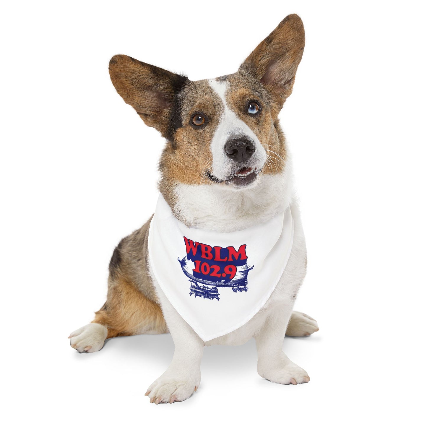 WBLM 102.9 Pet Bandana Collar